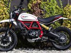 2019 Ducati Scrambler 800 Desert Sled